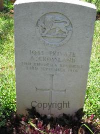 Dar Es Salaam War Cemetery - Crossland, Alfred